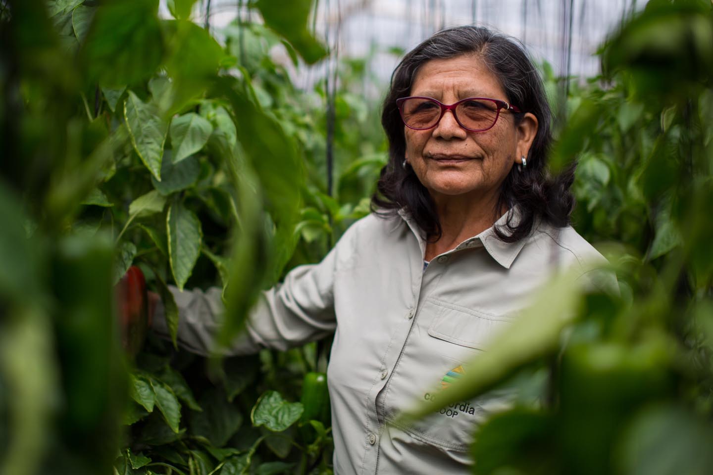 agricultores14