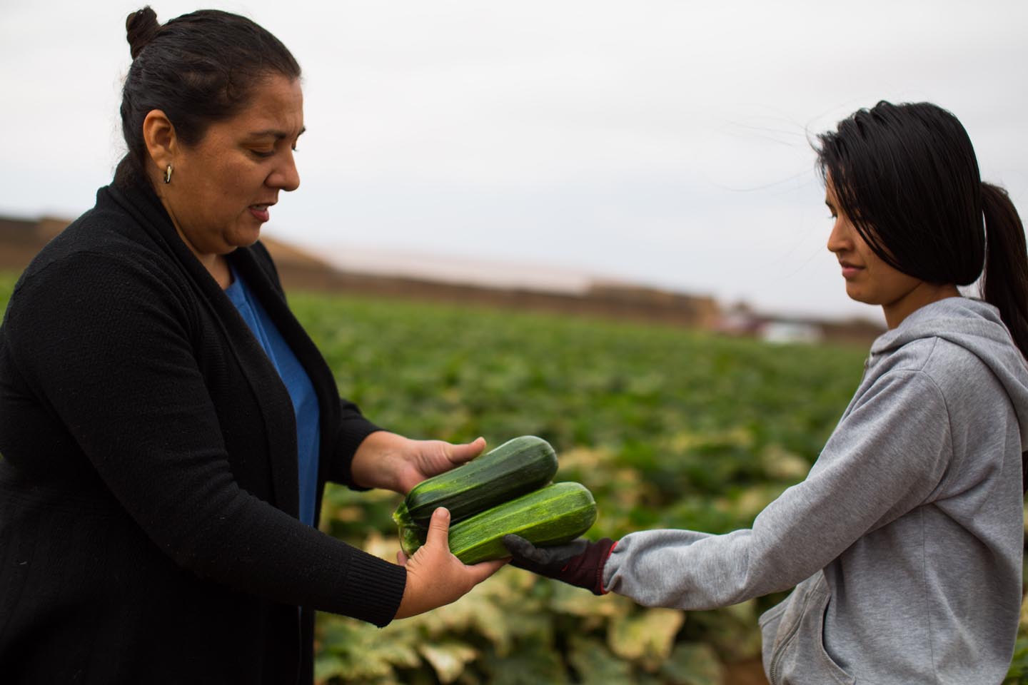 agricultores2