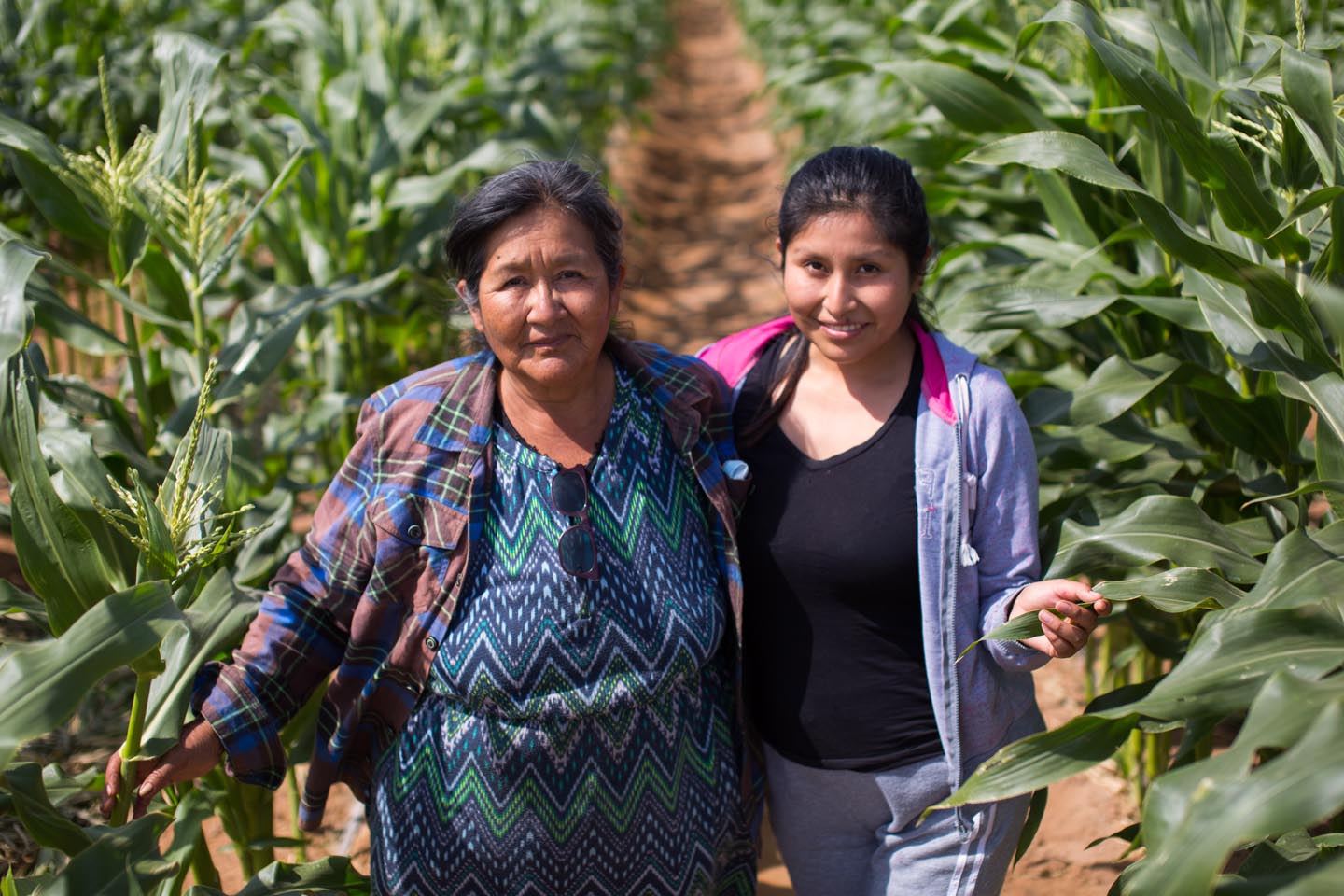 agricultores24
