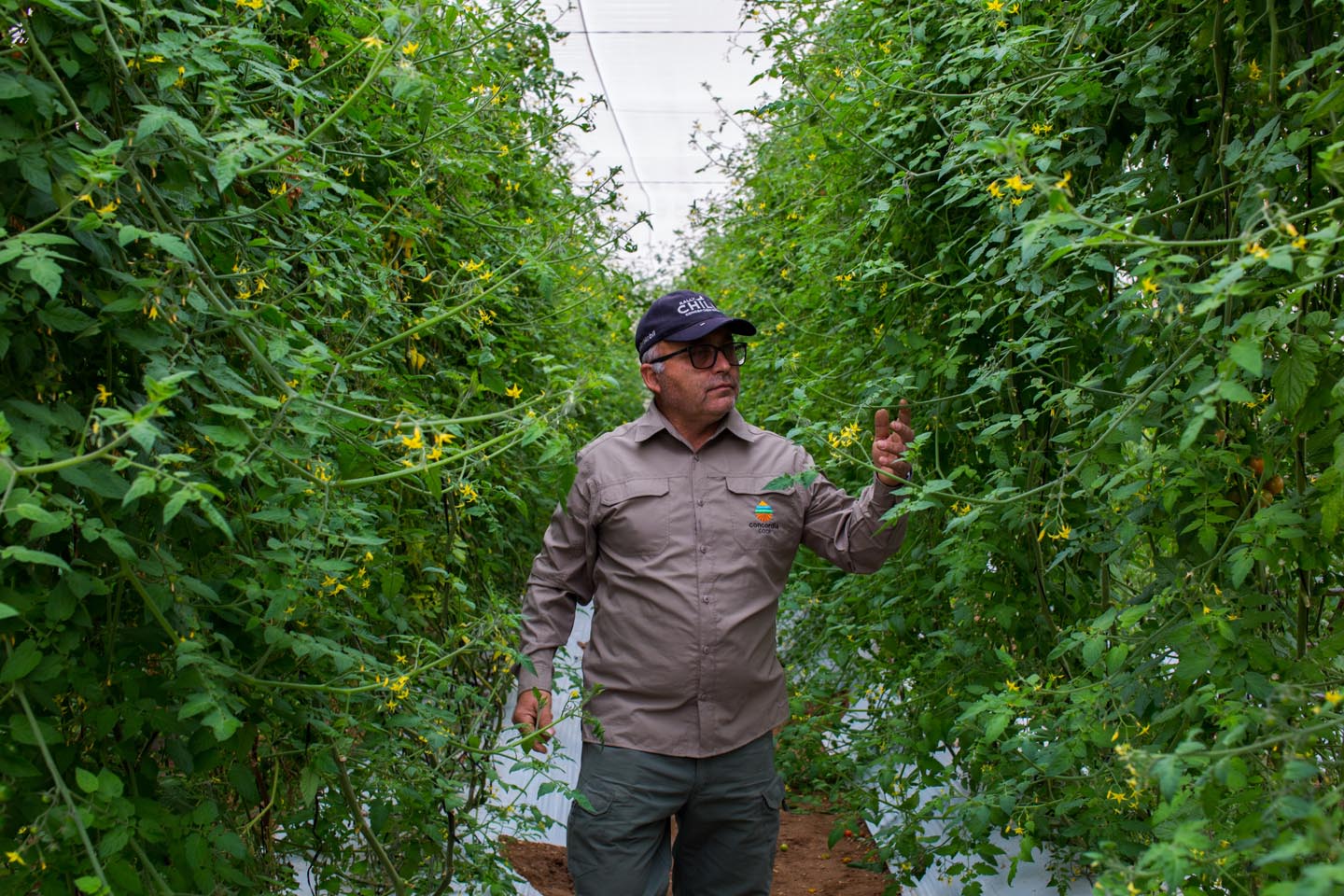 agricultores3