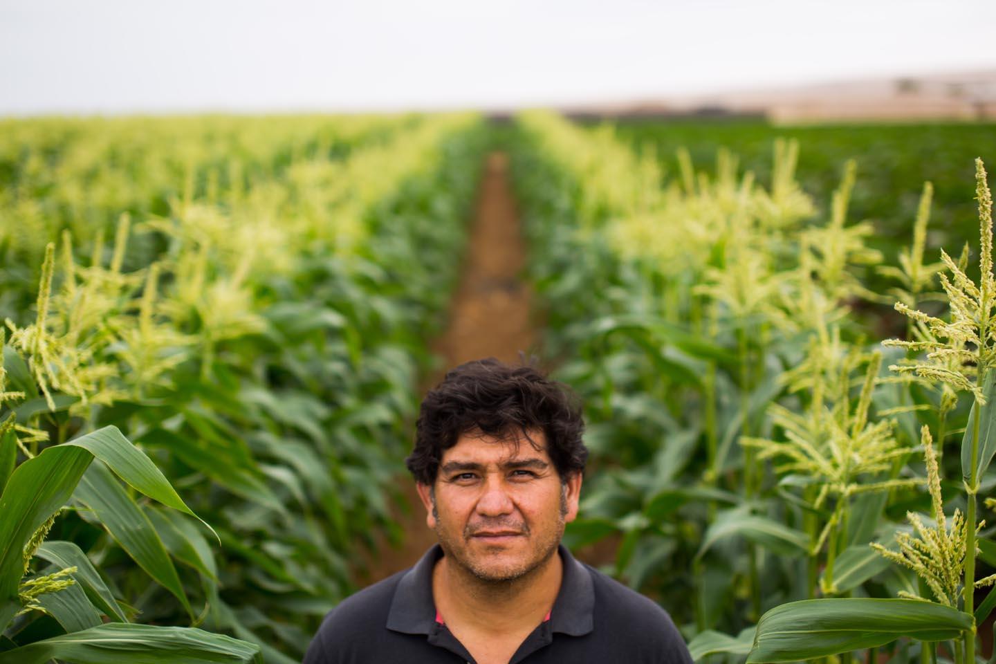 agricultores32