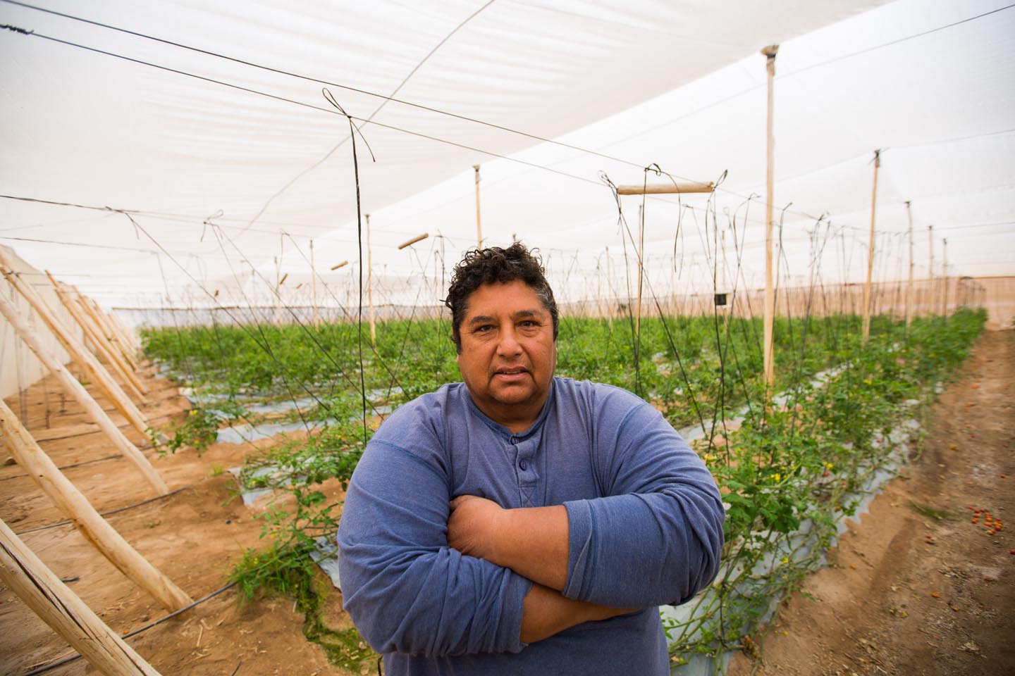 agricultores34