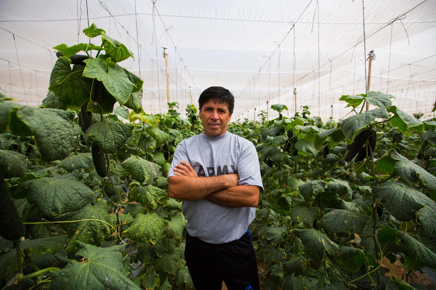 agricultores42