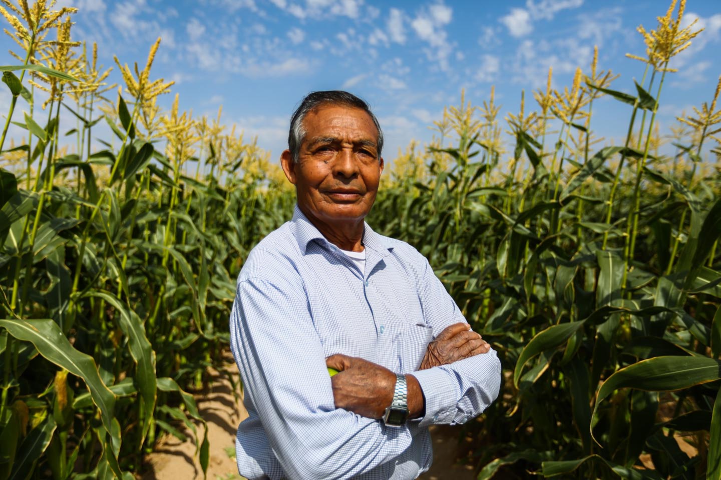 agricultores45