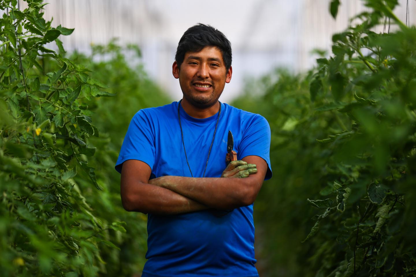 agricultores46