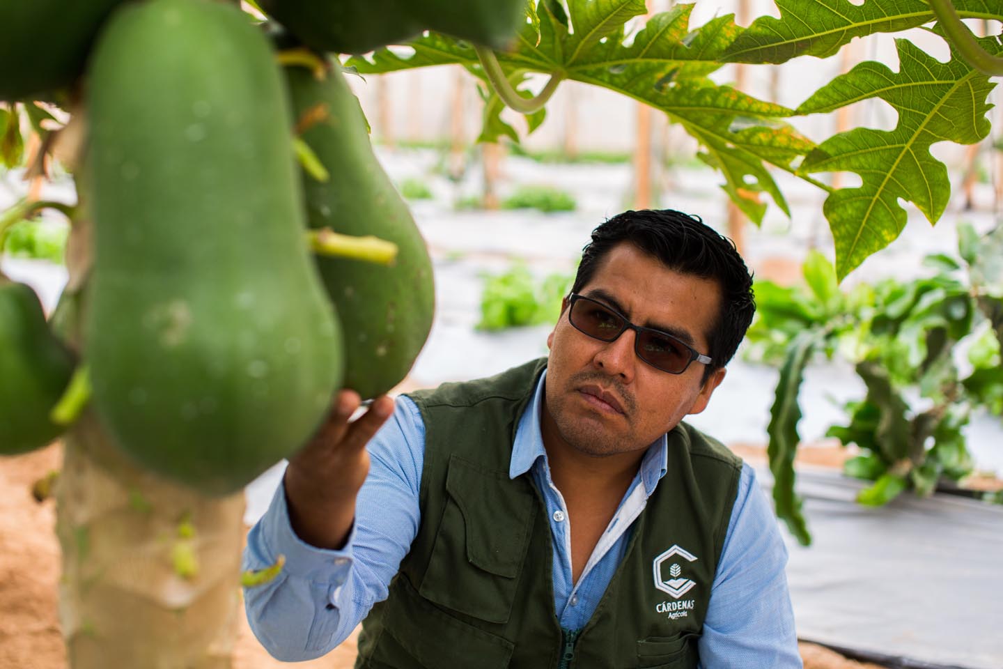 agricultores7