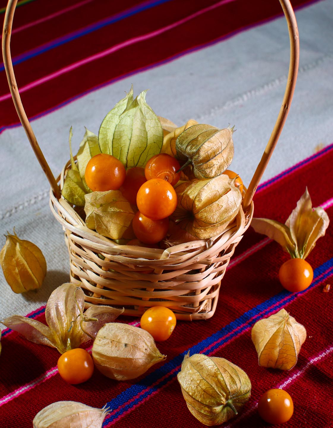 produccion-frutas-pampa-concordia-10
