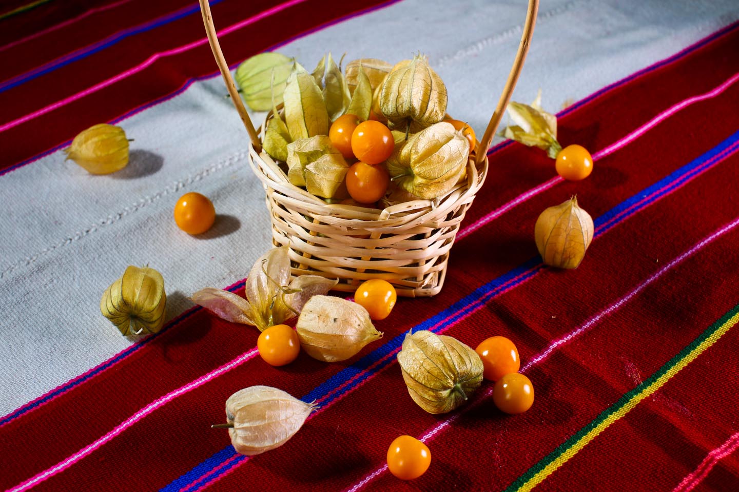 produccion-frutas-pampa-concordia-11