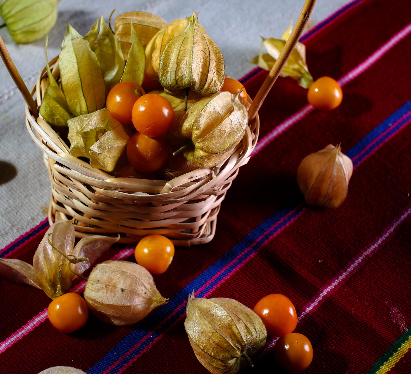 produccion-frutas-pampa-concordia-12