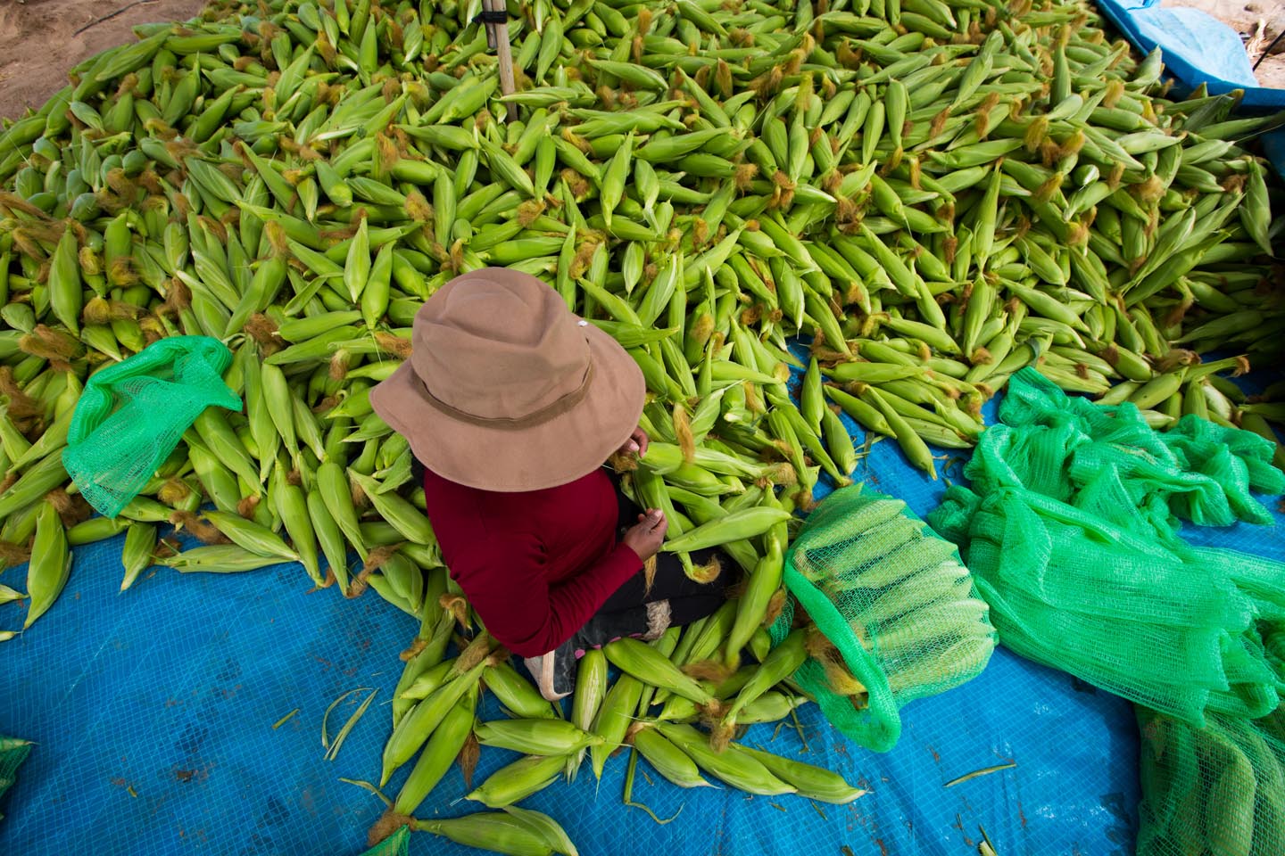 productos13